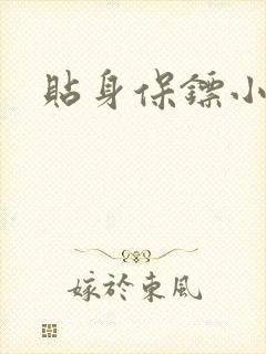 贴身保镖小说