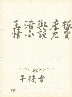 王浩与老板娘言情小说免费阅读封面