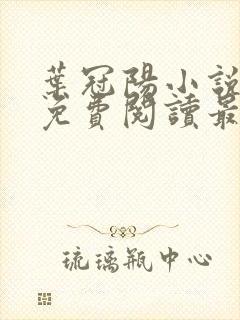 叶冠阳小说全文免费阅读最新章节