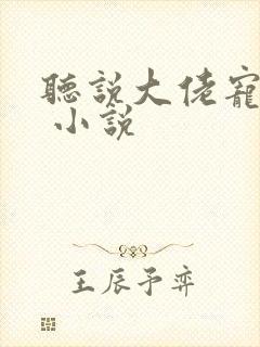 听说大佬宠夫狂 小说
