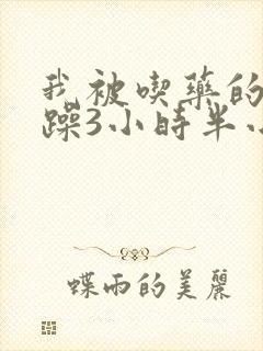 我被吃药的公狂躁3小时半小说封面