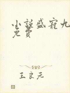 小说盛宠九皇妃免费封面