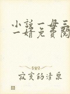 小说一母三女共一婿免费阅读