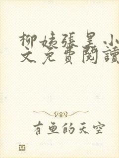 柳姨张昊小说全文免费阅读封面