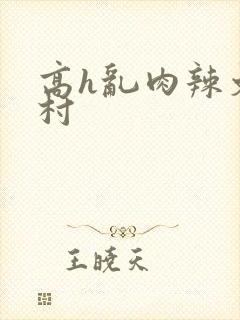 高h乱肉辣文乡村封面