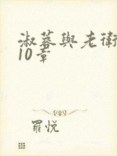 淑蓉与老卫1-10章封面