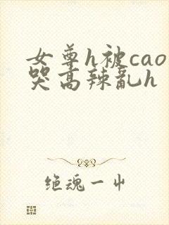 女尊h被cao哭高辣乱h封面