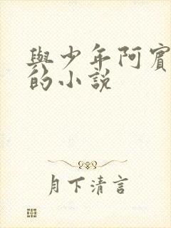 与少年阿宾相似的小说封面