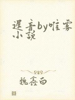 迟音by唯雾的小说