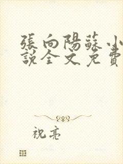 张向阳苏小棠小说全文免费阅读笔趣阁