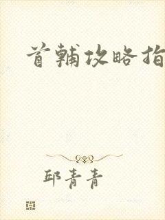 首辅攻略指南
