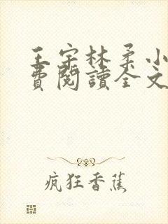 王宇林柔小说免费阅读全文最新章节