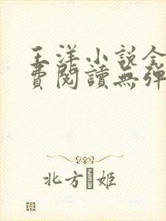 王洋小说全文免费阅读无弹窗封面