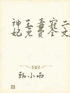 神王毒宠二嫁王妃免费全文阅读