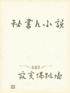 秘书h小说