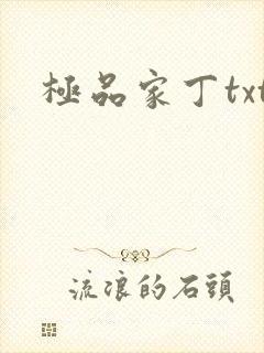 极品家丁txt