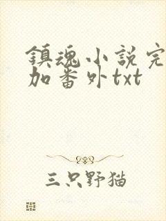 镇魂小说完整版加番外txt