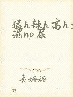 猛h辣h高h文湿np尿封面