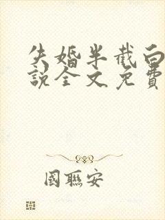 失婚半截白菜小说全文免费阅读封面