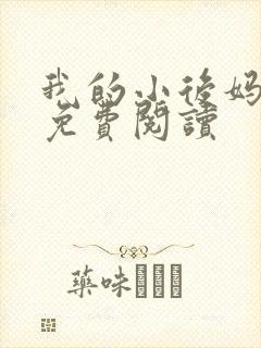 我的小后妈全文免费阅读