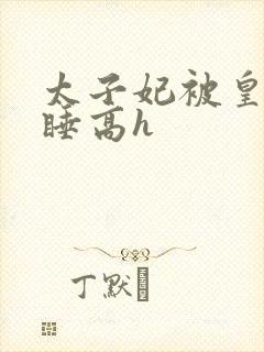 太子妃被皇上强睡高h