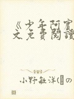 《少年阿宾》全文免费阅读