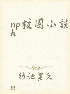 np校园小说高h