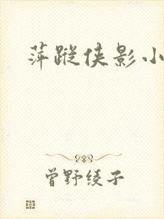 萍踪侠影小说封面