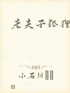 老夫子狐狸仙封面