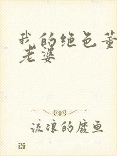 我的绝色董事长老婆