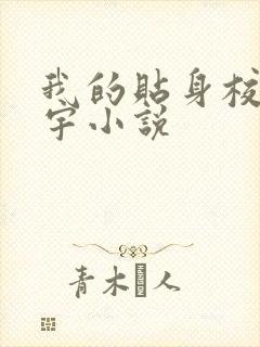 我的贴身校花唐宇小说封面
