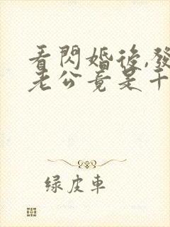 看闪婚后,发现老公竟是千亿大佬