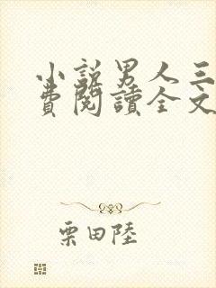 小说男人三十免费阅读全文封面