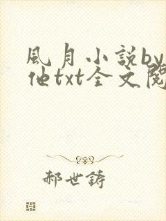 风月小说by苏他txt全文阅读