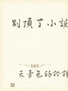 别顶了小说