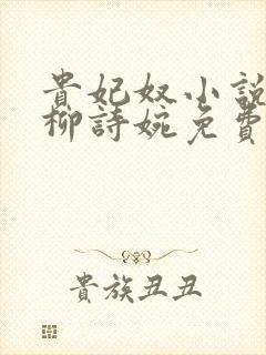 贵妃奴小说by柳诗婉免费阅读笔趣阁
