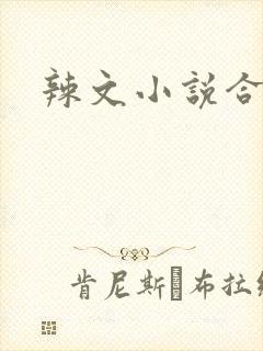 辣文小说合集