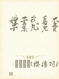 嫂子我真不是傻子叶凡免费