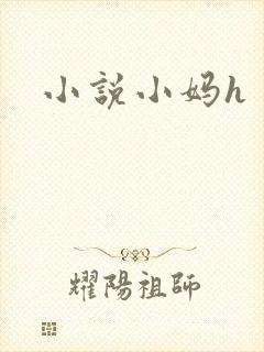 小说小妈h