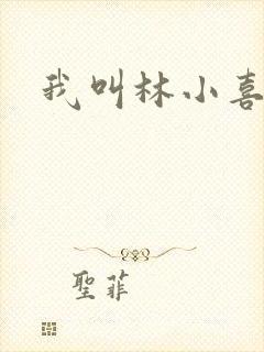 我叫林小喜小说
