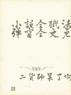 小说全职法师无弹窗全文免费阅读