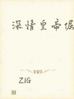 深情皇帝倔皇后封面