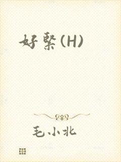 好紧(H)