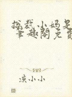 总裁小妈是母狗 笔趣阁免费阅读封面