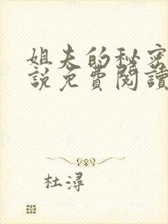 姐夫的秘密,小说免费阅读封面