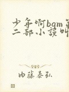 少年啊bgm第二部小说叫什么