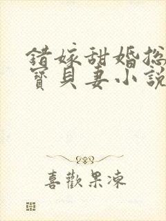 错嫁甜婚总裁的宝贝妻小说完整版封面