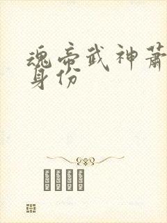 魂帝武神萧逸的身份