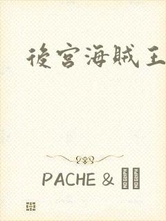 后宫海贼王