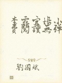 李霖官场小说免费阅读无弹窗
